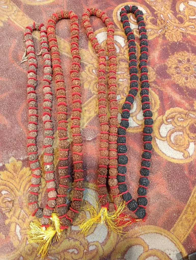 5 mukhi Rudraksh mala