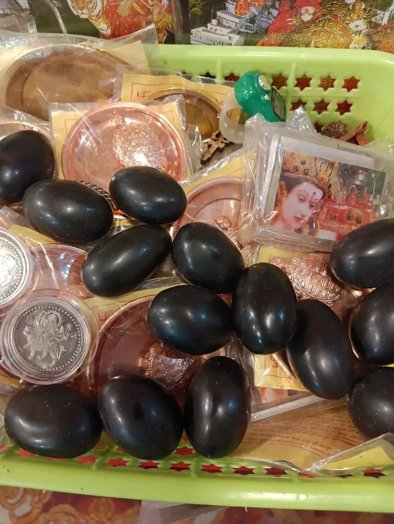 Shaligram vishnu Stone