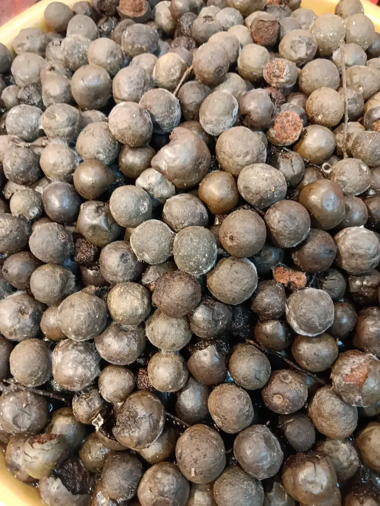 100% Natural Original Rudraksh